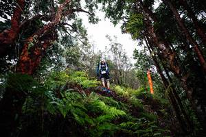 BIB: 
                            <button type="button" onclick="openModal(26205026)" class="btn btn-primary btn-sm float-right btn-popup" data-toggle="modal" data-target=".modal-high-quality">
                        <i class="fas fa-shopping-cart"></i> Add to Cart
                    </button>
                                            <button type="button" onclick="isThisMe(26205026, true)" class="btn btn-success btn-sm float-right btn-popup btn-isme hidden" data-toggle="tooltip" data-placement="bottom" title="นี่คือรูปของคุณใช่ไหม คลิกที่นี่เพื่อเอาเข้าอัลบั้ม">
                        <i class="fas fa-plus"></i> Add to album
                    </button>
                    <button type="button" onclick="isThisMe(26205026, false)" class="btn btn-warning btn-sm float-right btn-popup btn-isnotme hidden">
                        <i class="fas fa-ban"></i> Remove from album
                    </button>